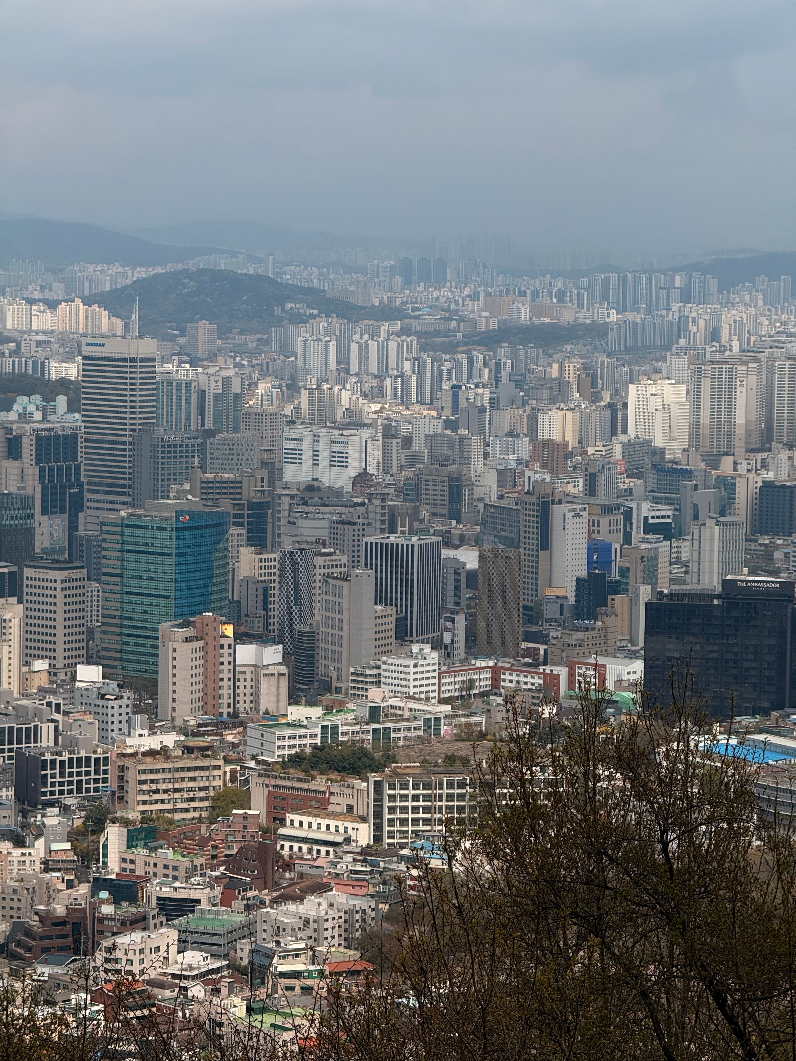 정책·전략
